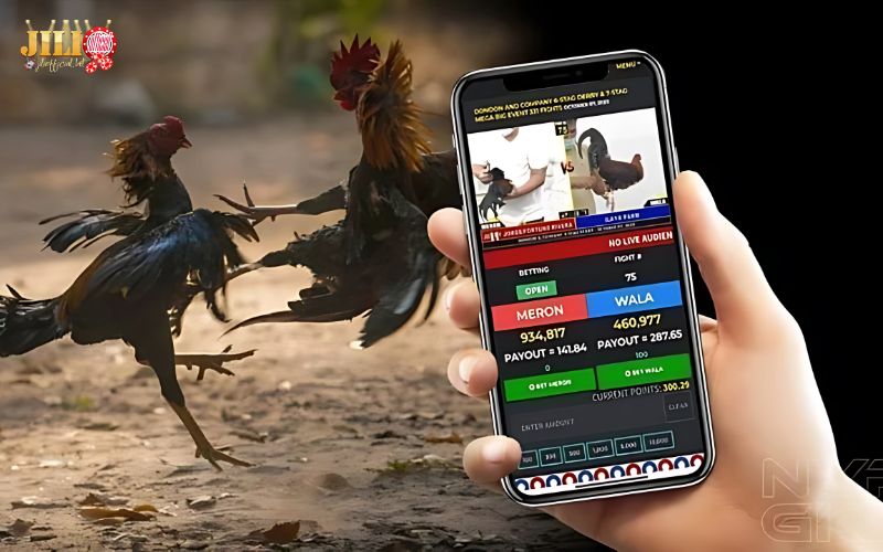 S128 Cockfighting – Top 3 Exclusive Live Sabong Features with Fair Odds 5 can-i-watch-s128-cockfights-on-mobile