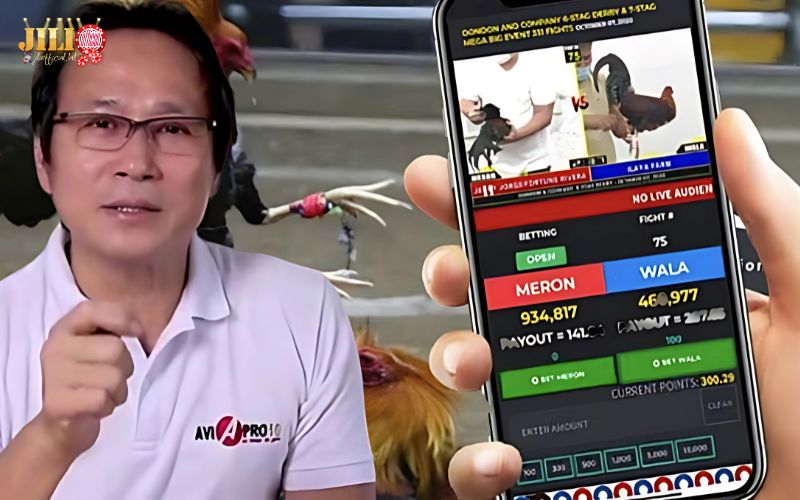 Northern Cockfighting Law 2025: What You Need to Know 3 clear-legal-status-for-betting