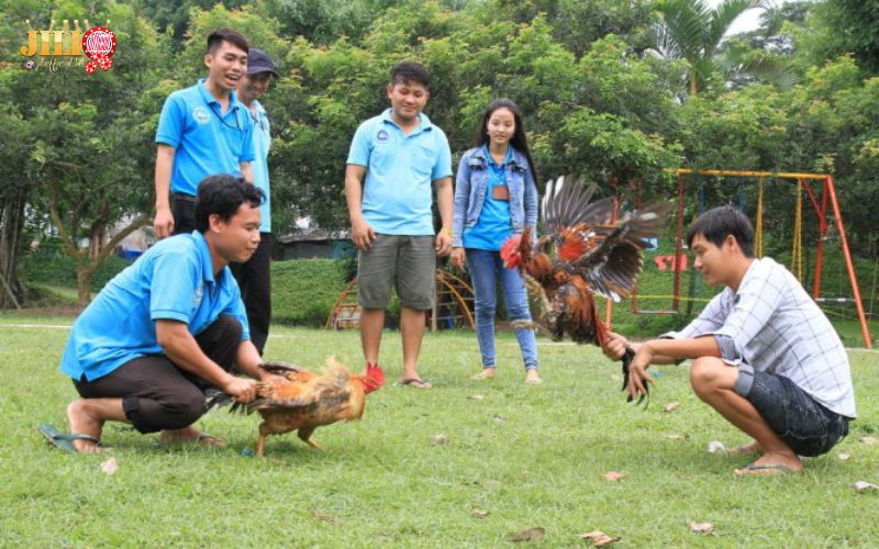 Northern Cockfighting Law 2025: What You Need to Know 5 how-does-it-affect-local-pits-and-players