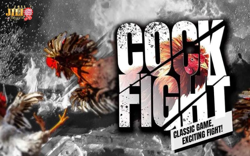 SV388 Cockfighting | Top Online Sabong Betting at JILI 2 key-advantages-of-the-sv388-cockfighting-lobby