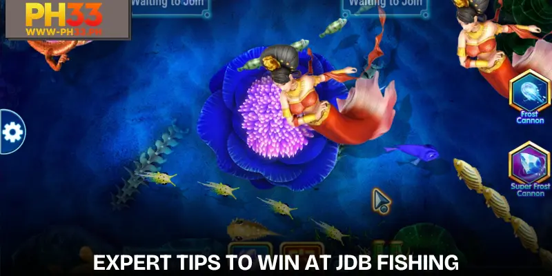 JDB Fishing – Conquer the Ocean, Hunt Massive Rewards 2026 4 jdb-fishing-expert-tips