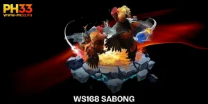 ws168-sabong